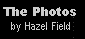 Prepare to be dazzled by this photographic tour from the lens of Hazel Field.
